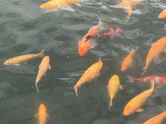 -长春市南湖公园