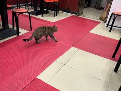 -郑家包子牛肉拉面(尚勤路店)