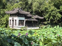 -扬州大运河文化旅游度假区·盆景园