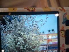 -猫的天空之城概念书店(杭州南宋御街店)