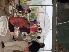 -马陆小张葡萄园农家乐