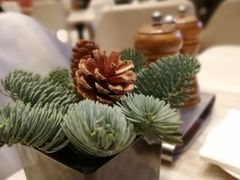 -新发展亚太JW万豪酒店·福苑咖啡厅