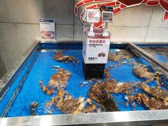 水产区-盒马鲜生(昆城店)
