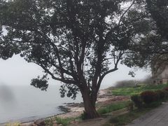 -巢湖姥山岛