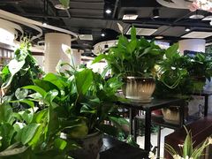 -舌尖上的食缘花园主题餐厅