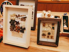 -二酉书店TOYOU BOOKS