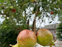 -红旗山庄(圭峰山店)