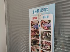 -心仪动物医院·牙专科·肿瘤·心脏科(西客站院)