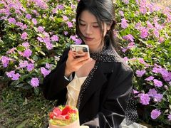 -三只蜜蜂蛋糕(汇一城店)