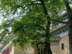 -广州中山纪念堂