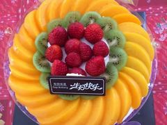 -极致味道动物奶油生日蛋糕(时尚店)