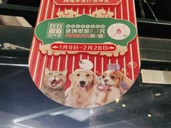 -美联众合动物医院(唯恩分院)