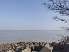 -上海滨江森林公园