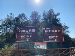 -浏阳石牛寨风景区
