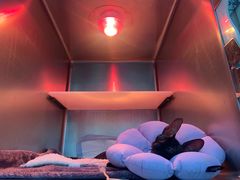 -爱妮康宠物医院·干细胞免疫细胞·肿瘤·心脏(张江店)