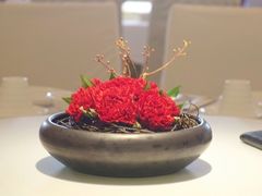 -悦景酒家(罗湖店)