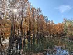 -青龙山国家森林公园