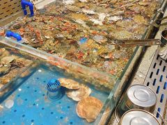 -半岛听涛蒸汽海鲜自助(K11店)