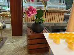 -远洲凤凰山庄臻味全日餐厅