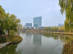 -大兴滨河森林公园