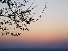 -古柏渡飞黄旅游区