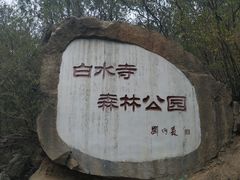 -白水寺森林公园