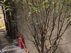 -森SPA·泰式按摩·精油Massage(宝安中心店)