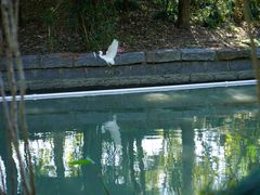 -长广溪湿地公园