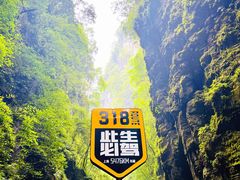 -蝶舞清江·恩施地心谷景区