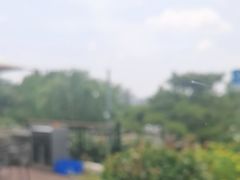 -蘇河湾·新鲁菜·泰山宴(泰山店)
