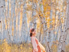 -乌兰布统景区-白桦林