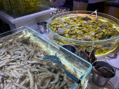 -聚盛源蒸汽海鲜火锅烤肉自助(巨川金海岸购物广场店)