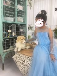 -同远QQBABY亲子摄影(北京路店)
