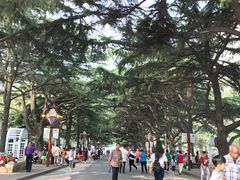 -贮水山儿童公园