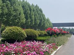 -河南财经政法大学(郑东校区)