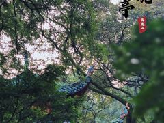 -岳麓山风景名胜区