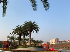 -宝安西湾红树林湿地公园