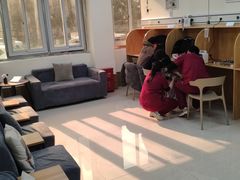 -美联众合动物医院·24h京西诊疗中心