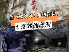 -仙蘑洞