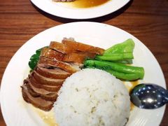 -初心烧鹅(粤华店)