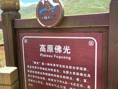 -乌蒙大草原