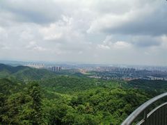 -天花井景区