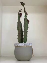 -THE LOG SALON 记录