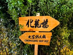 -化龙桥九宫格火锅(清水河店)