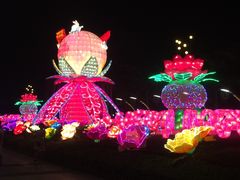 -映月湖公园