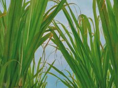 -汉长安城未央宫国家考古遗址公园