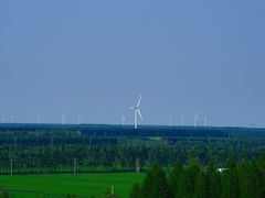 -黄海国家森林公园