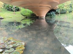 -云溪植物园
