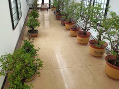 -石家庄市植物园