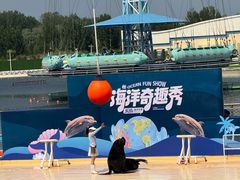 -秦皇岛乐岛海洋王国